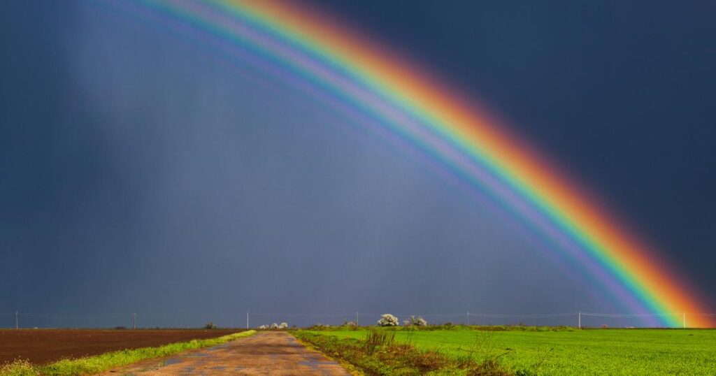 tęcza to naturalnie występujące zjawisko rozszczepienia światła słonecznego w kroplach deszczu